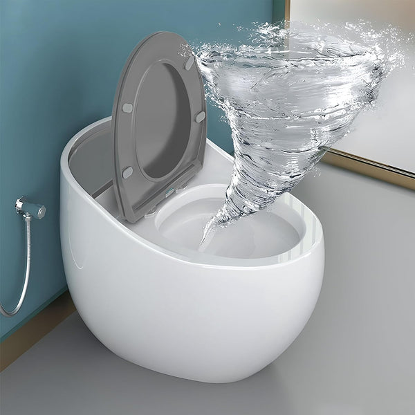 Plantex Platinium Ceramic Rimless One Piece Western Toilet/Water Closet